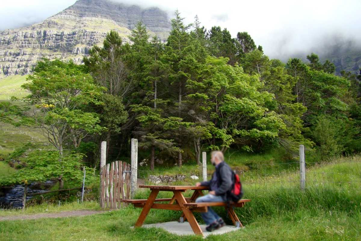 Limir í Norrønafelagið á útferð til viðarlundir